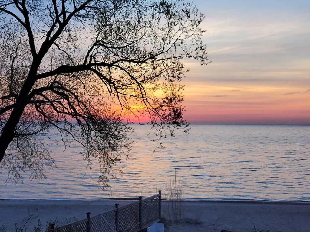Ainsley'S Cove Βίλα Carsonville Εξωτερικό φωτογραφία